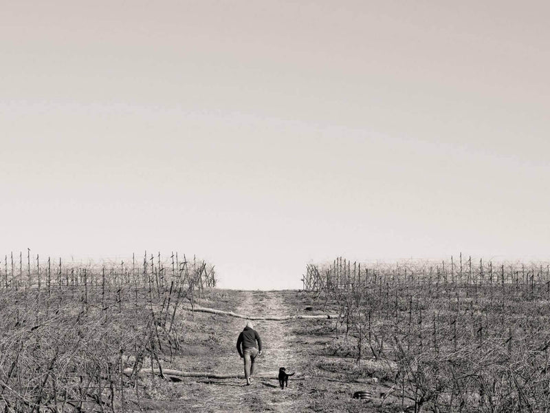 Gail Wines