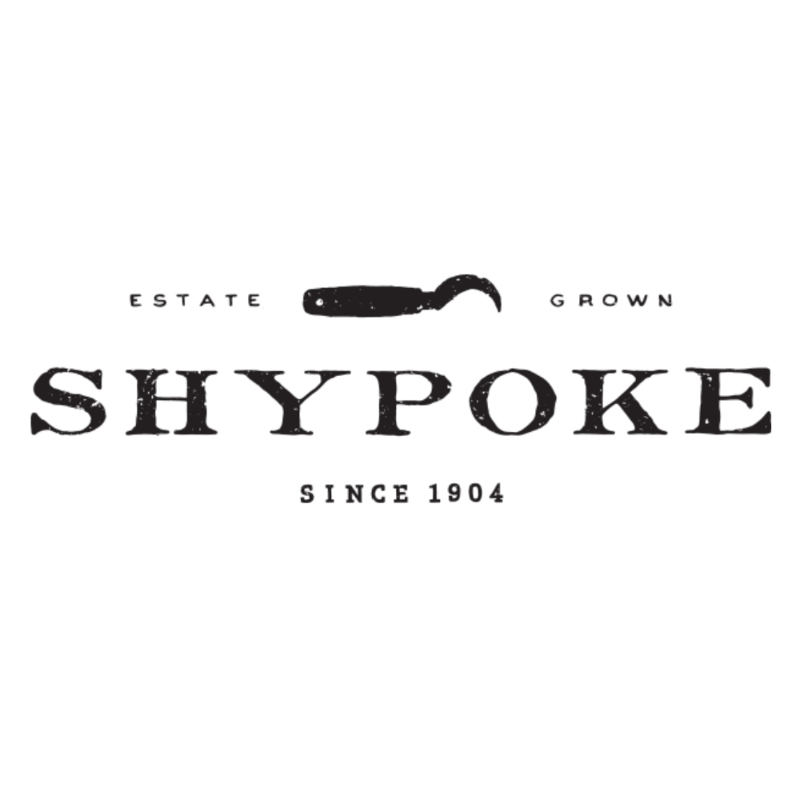 Shypoke Chenin Blanc 2021 image 0