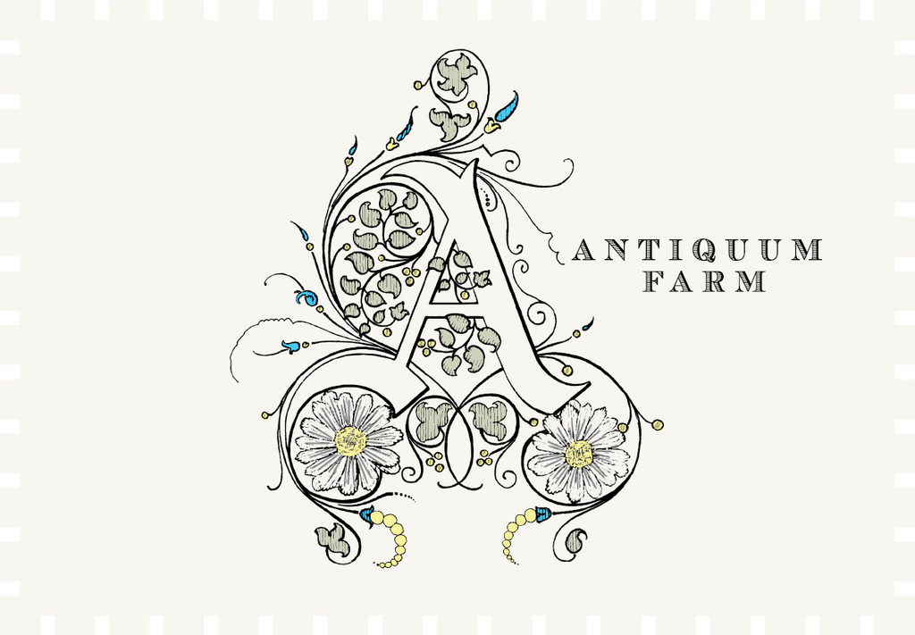 Antiquum Farm Daisy Pinot Gris 2022 image 0