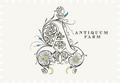 Antiquum Farm Daisy Pinot Gris 2022 image 0