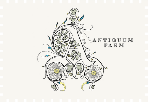 Antiquum Farm Daisy Pinot Gris 2022 image 0