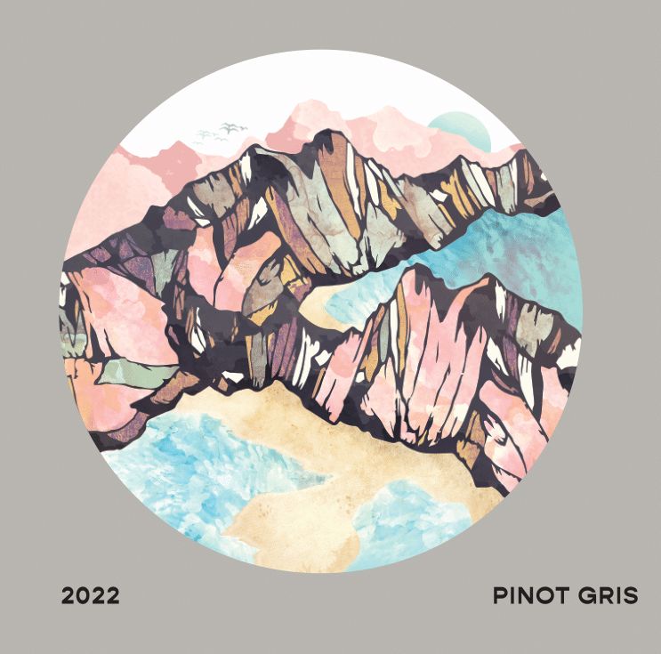 Outward Pinot Gris Pettilant Naturel 2022 image 0