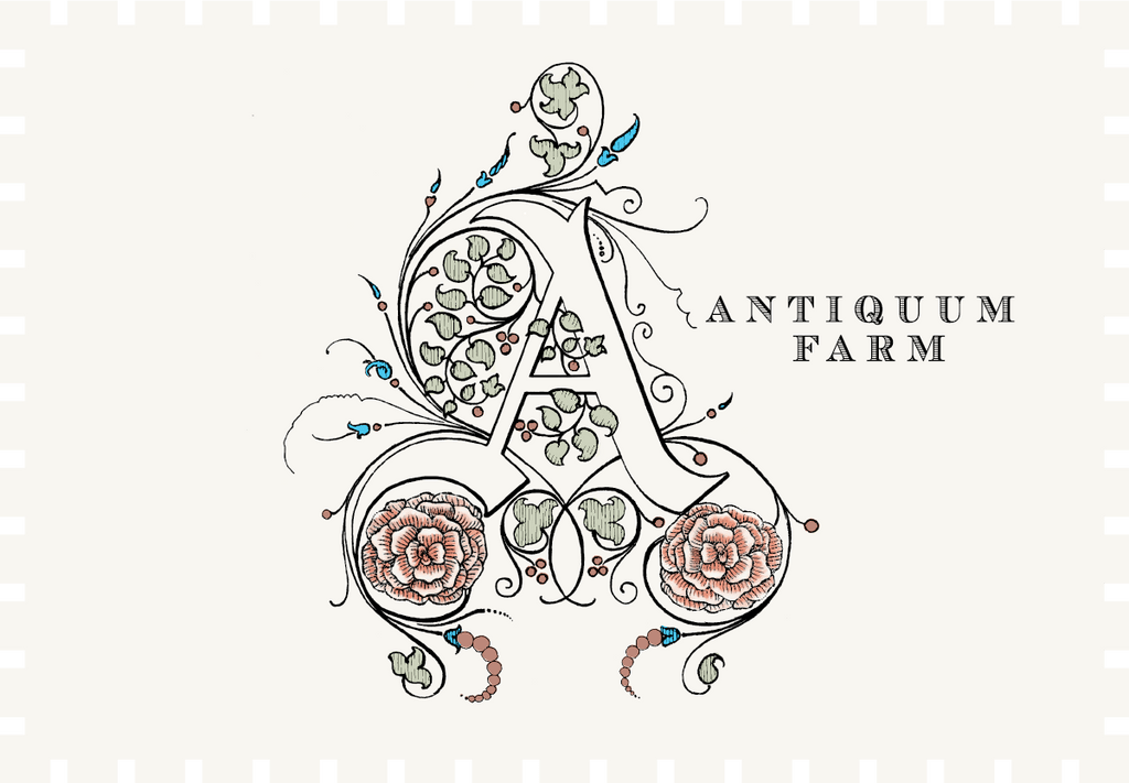 Antiquum Farm Aurosa Pinot Gris 2022 image 0