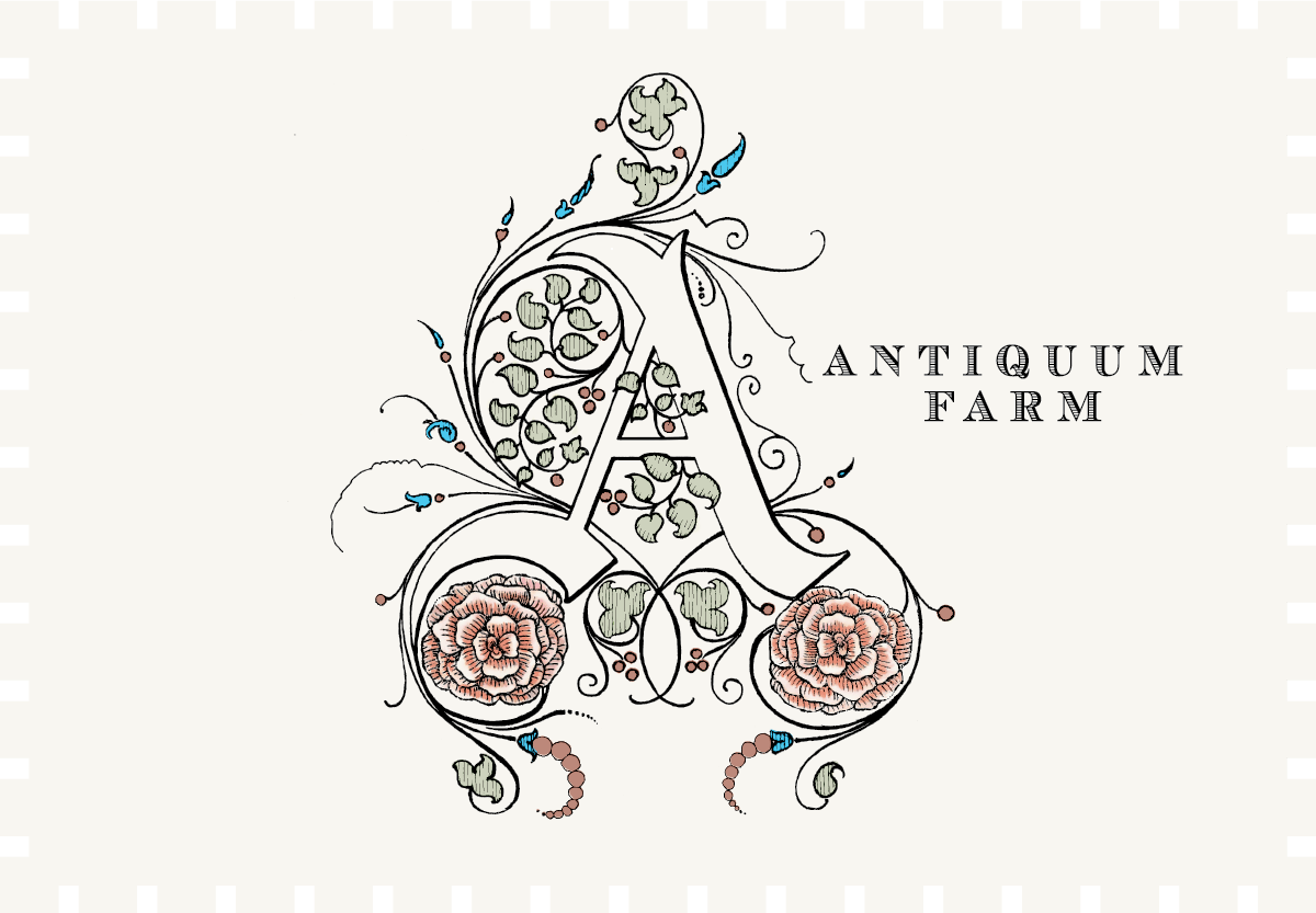 Antiquum Farm Aurosa Pinot Gris 2022 image 0