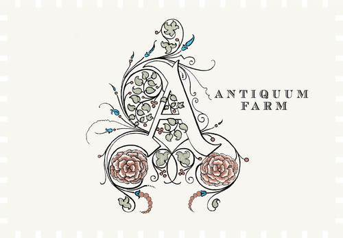 Antiquum Farm Aurosa Pinot Gris 2022 image 0