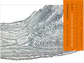 Obsidian Poseidon Vineyard Chardonnay 2019 image 0