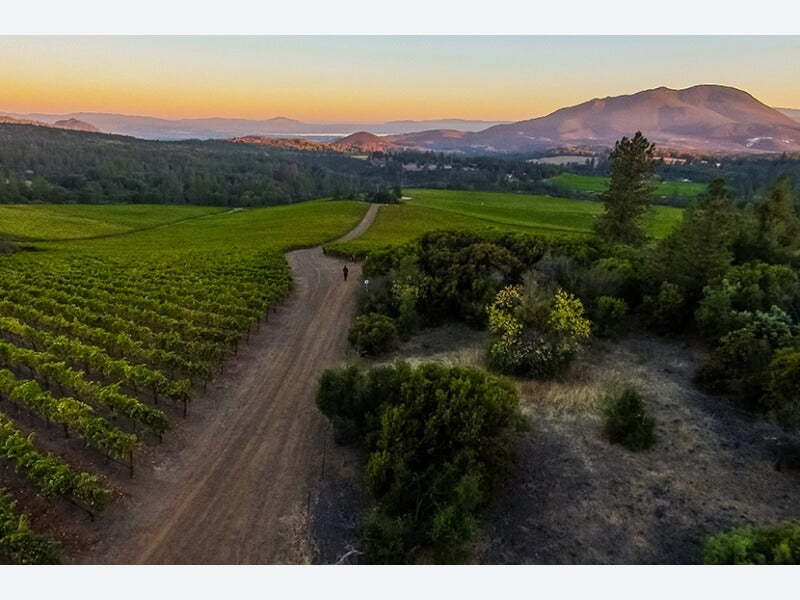 Obsidian Poseidon Vineyard Chardonnay 2019 image 1