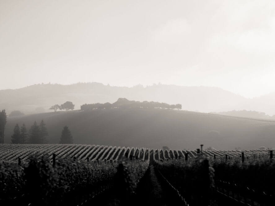 GAIL Deering Cabernet Sauvignon 2018 image 1