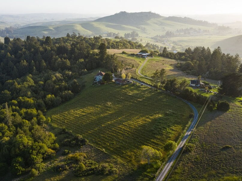 Edaphos Madhavan Vineyard Barbera 2018 image 2