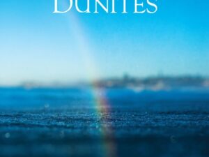 Dunites Chêne Vineyards Blanc de Noirs 2019 label; white text on a background of deep blue sea set against blue sky