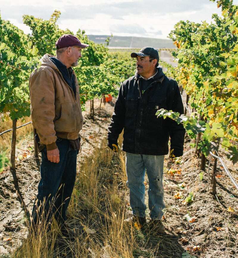 The fine folks at Kiona chatting amongst their beautiful vines