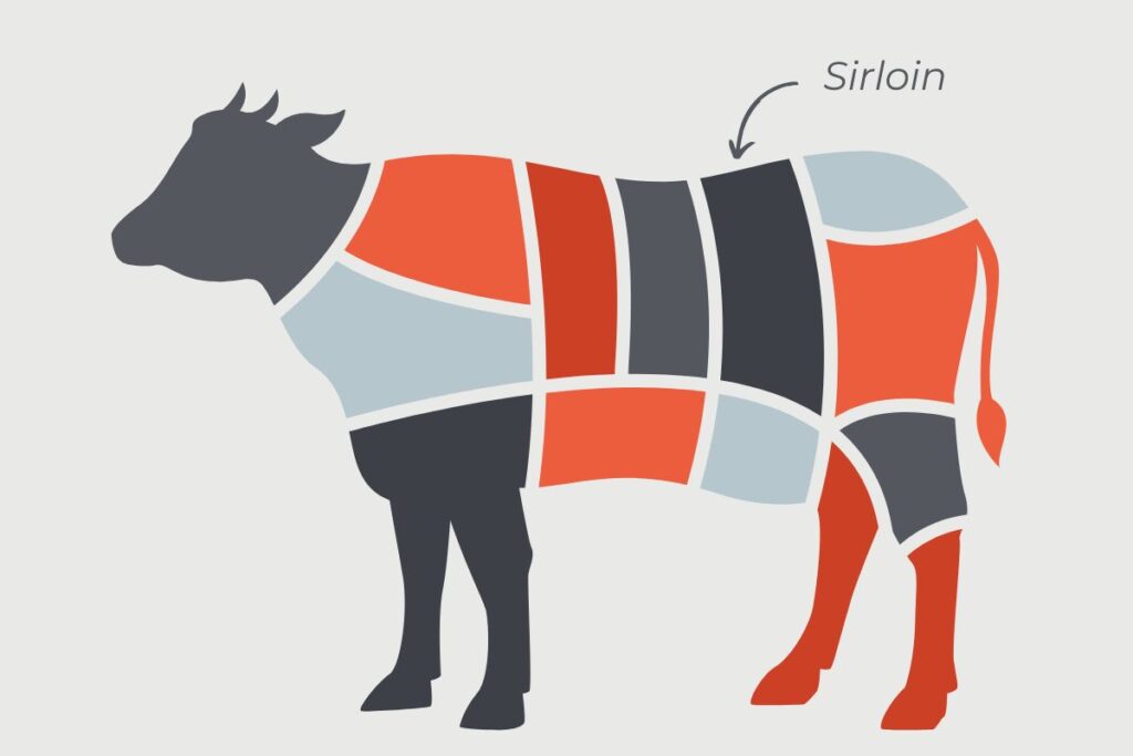 what wine goes best with sirloin steak - cow illustration with sirloin labelled