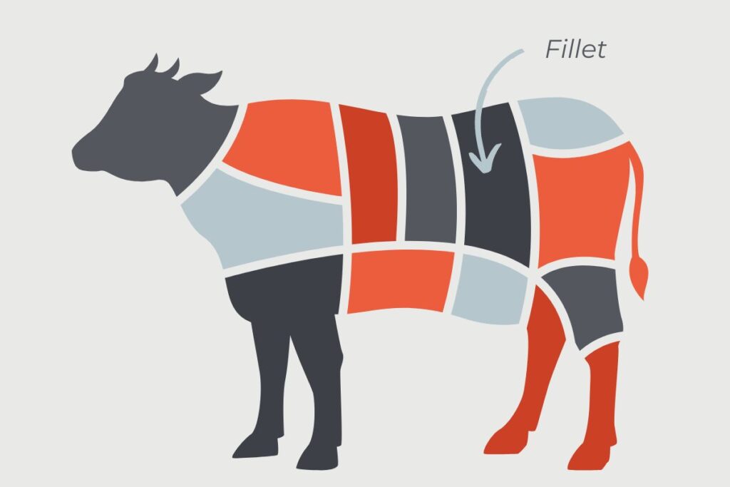 what wine goes best with Fillet steak - cow illustration with fillet labelled