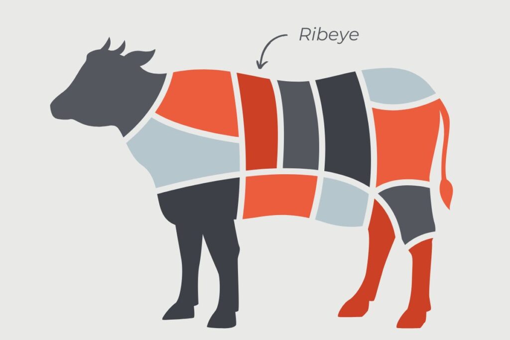 What wine goes best with a ribeye steak - cow diagram showing where rib eye comes from