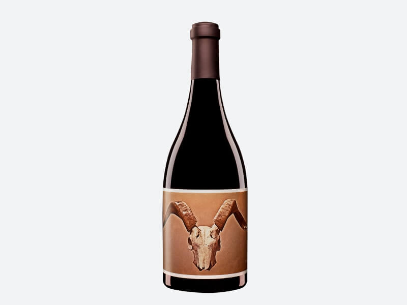 Disciples Red Wine 2018; Large gold rectanglar label with a yellow border, showing a white animal skull with large brown swept back horns