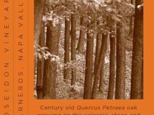 Poseidon Vineyard label - orange with a square of trees