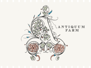 Antiquum Farm Aurosa Pinot Gris 2022