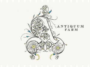 Antiquum Farm Daisy Pinot Gris 2022